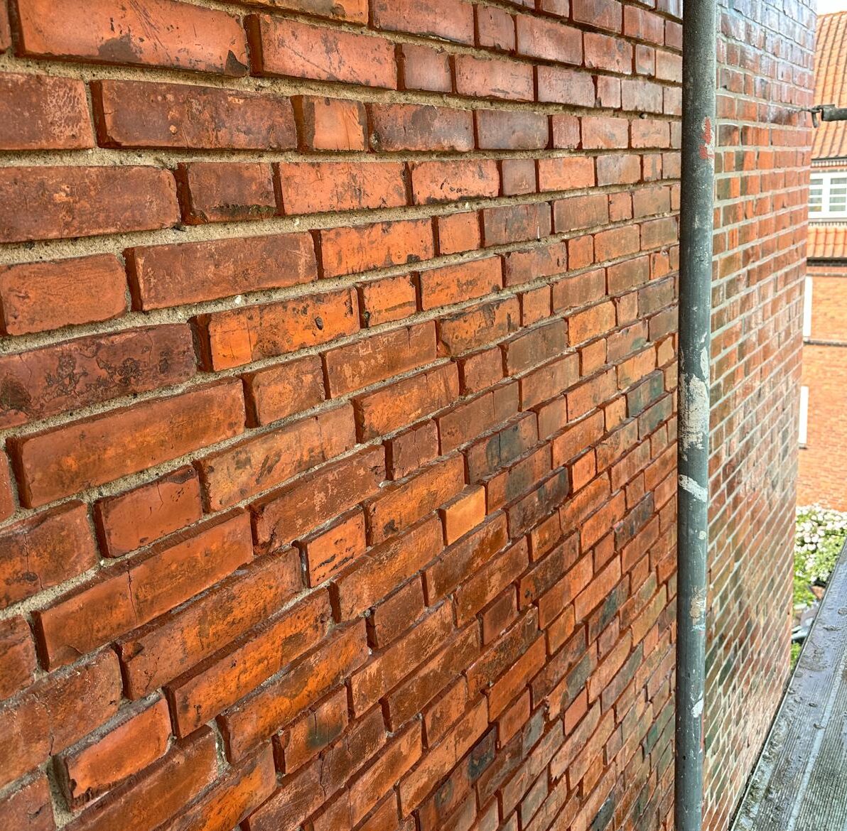 nachher reinigung nachher reinigung